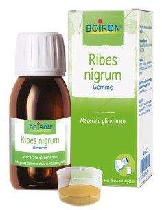 RIBES NIGRUM BOI MG 60ML INT