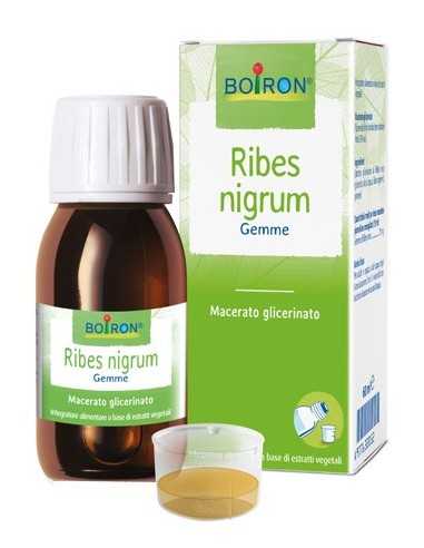 RIBES NIGRUM BOI MG 60ML INT