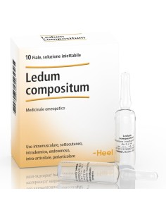 LEDUM COMP 10F 2 2ML HEEL