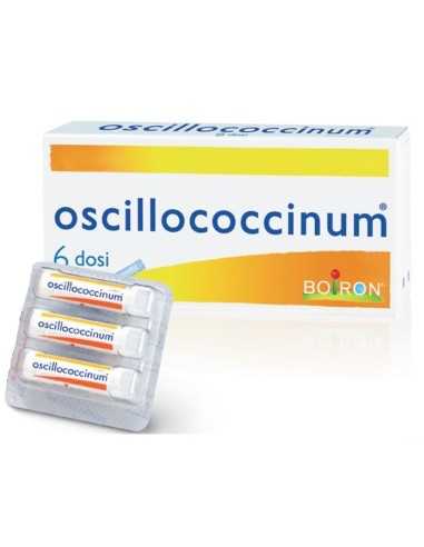 OSCILLOCOCCINUM 200K 6DO