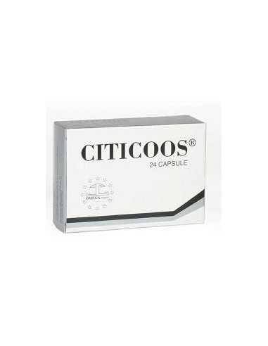 CITICOOS 24CPR