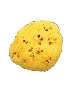 SPUGNA NAT FORI L 12 13CM 9