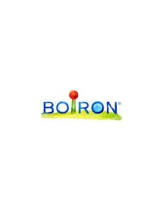 ARNICA MONTANA 200CH GR 1G