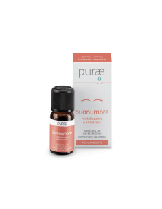 PURAE SINERGIA OE BUONUMORE