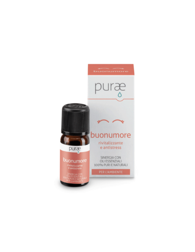PURAE SINERGIA OE BUONUMORE