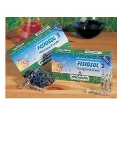 FISIOSOL 12 P 20F