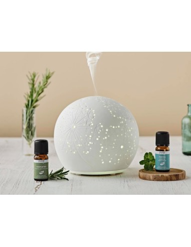 DIFFUSORE ULTRASUONI FLY PURAE