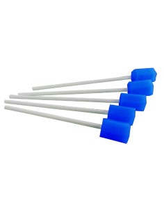 BASTONCINO PULIZ CAVO OR 5PZ