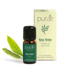PURAE OE ALBERO TEA FGL